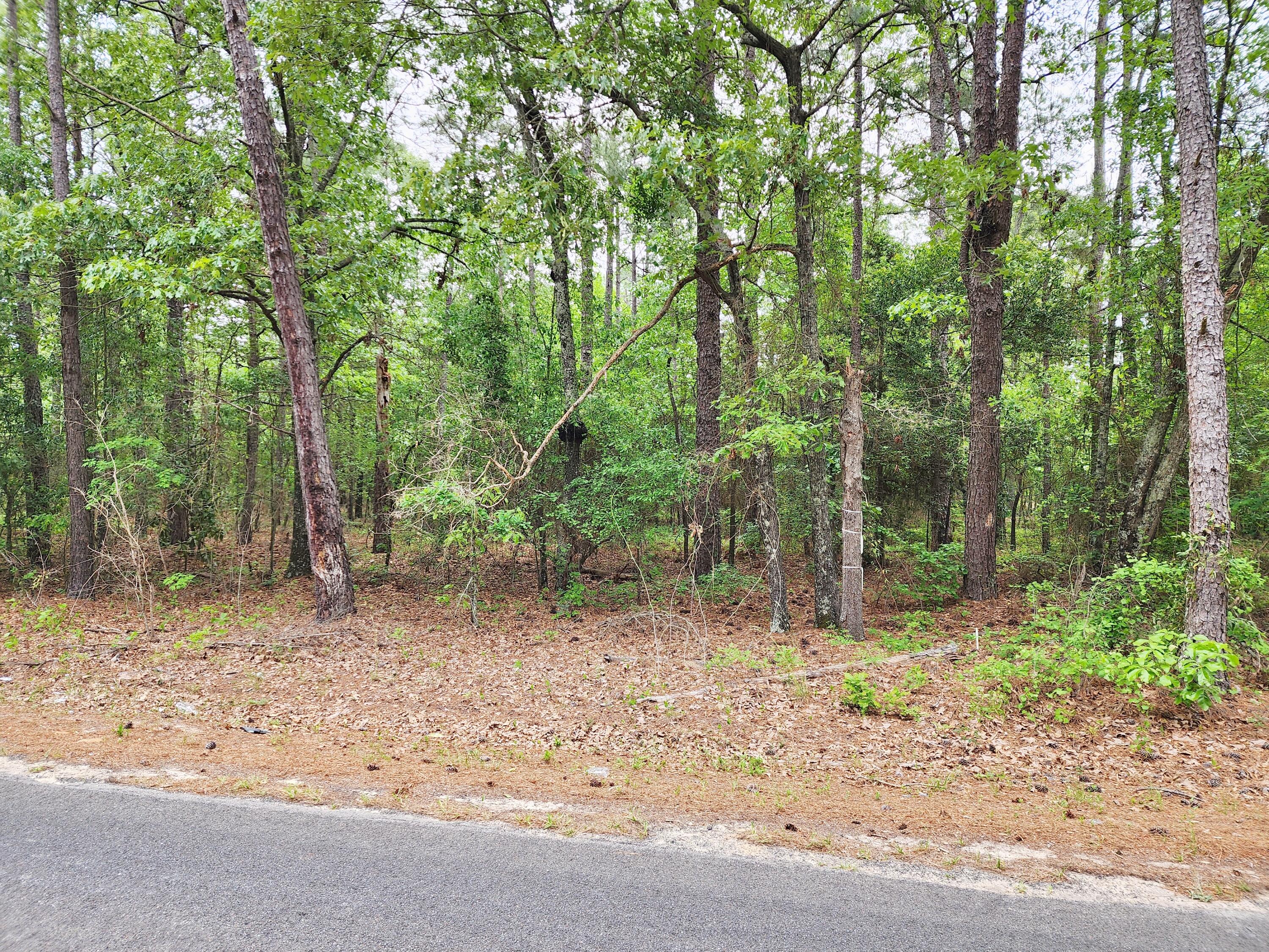 Lot 0 Weeks Road Williston, SC 29853 - Photo 5 of 19 20240427_161222