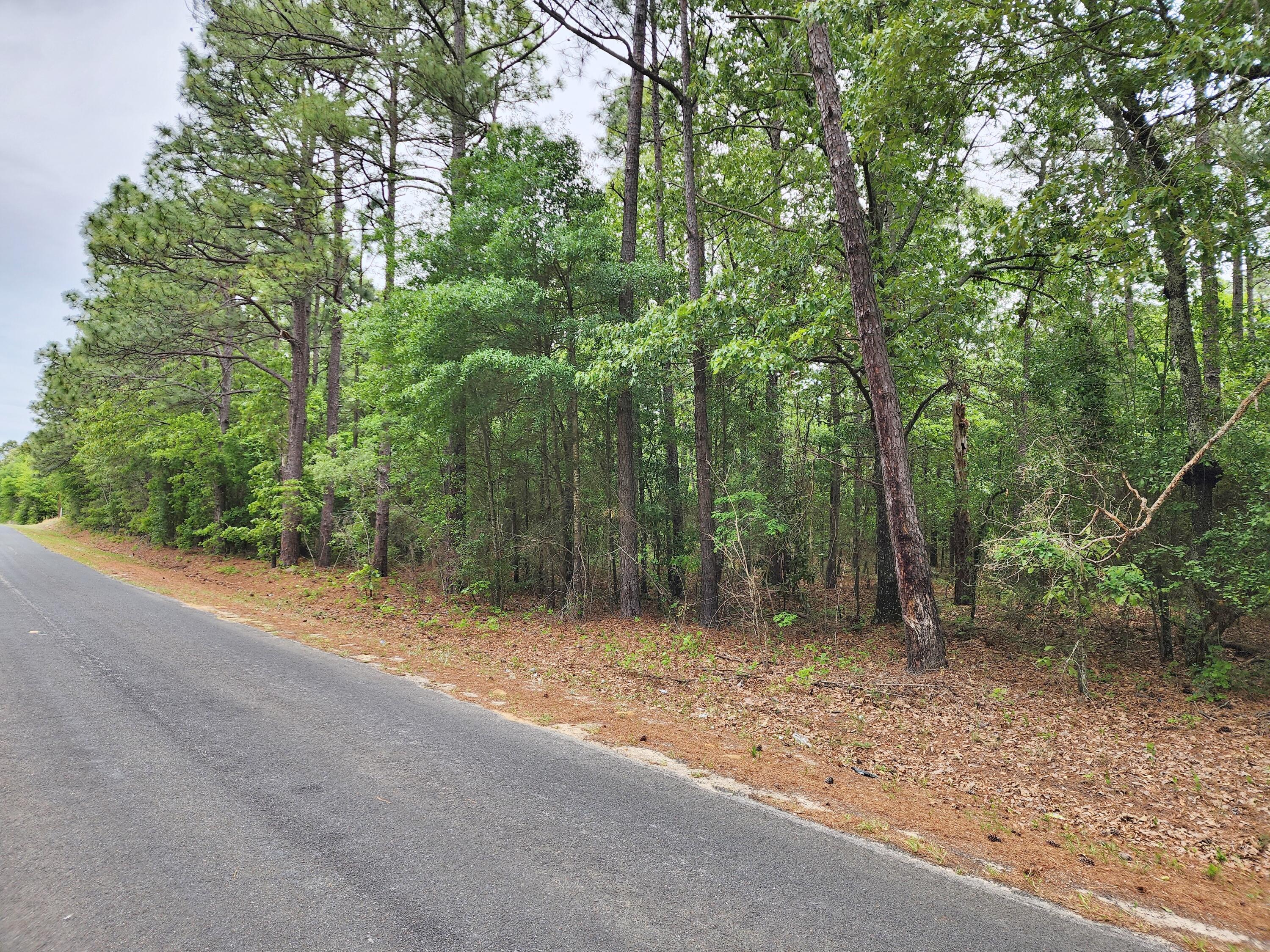 Lot 0 Weeks Road Williston, SC 29853 - Photo 6 of 19 20240427_161225