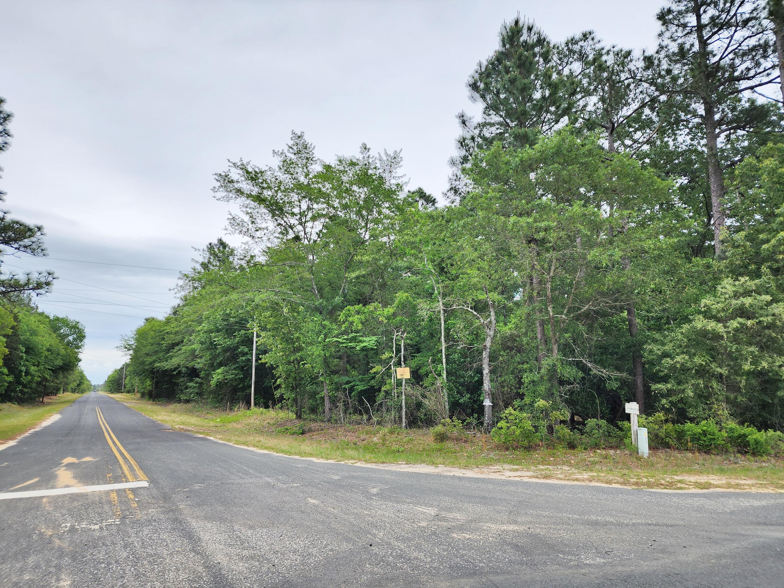 Lot 0 Weeks Road Williston, SC 29853 - Photo 7 of 19 20240427_161109