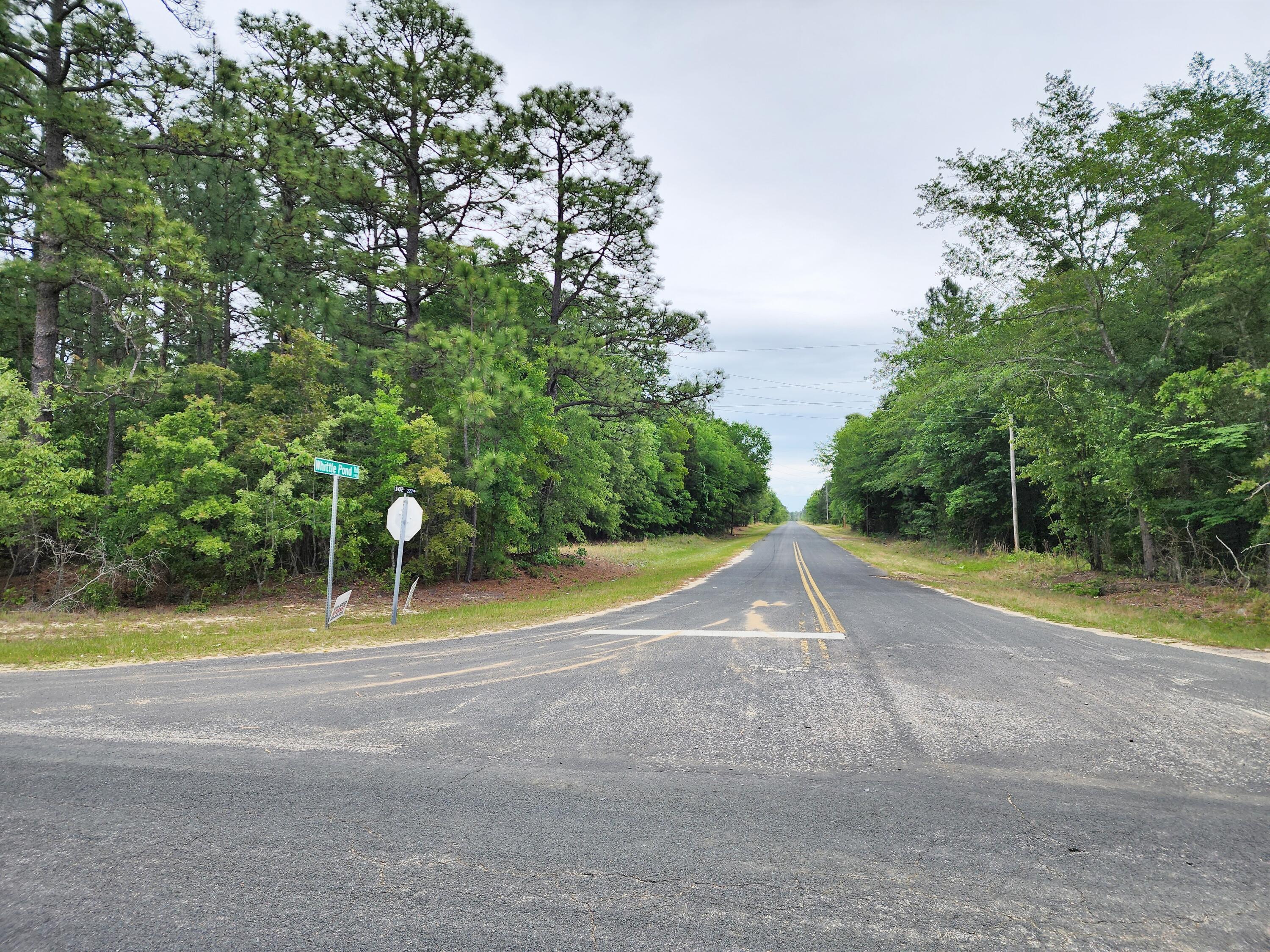Lot 0 Weeks Road Williston, SC 29853 - Photo 8 of 19 20240427_160907