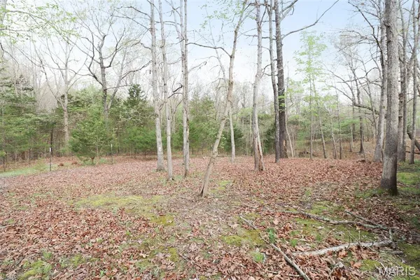 $319,900 | 21141 Larson Road, Waynesville, MO 65583