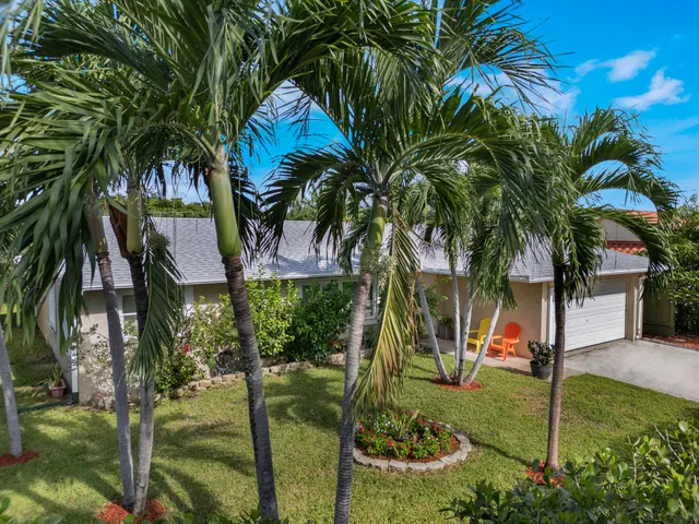 a view of small garden