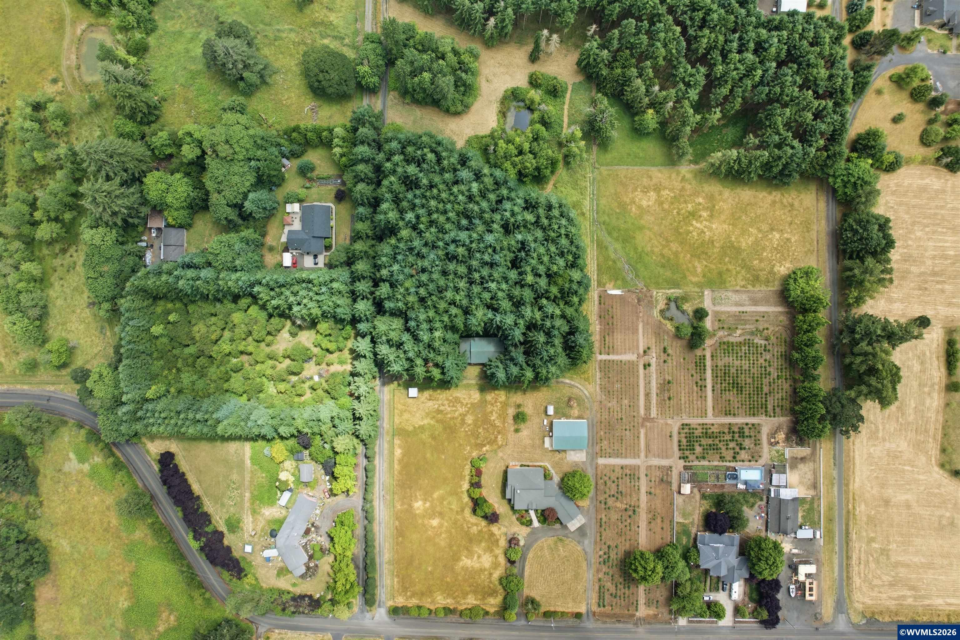 37808 Farris Road Scio, OR 97374 - Photo 3 of 47