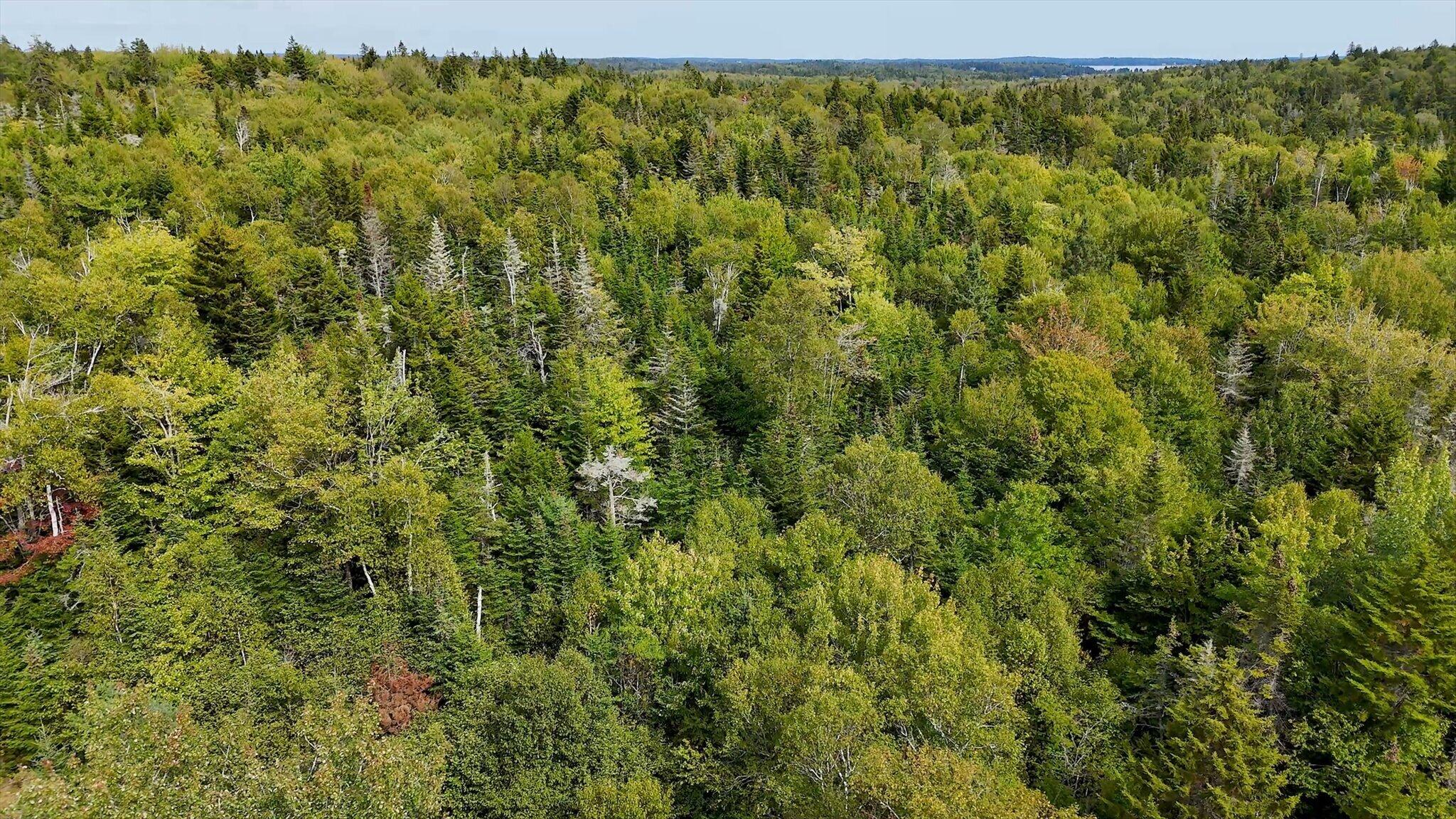 M20-l2 East Side Road Addison, ME 04606 - Photo 5 of 15