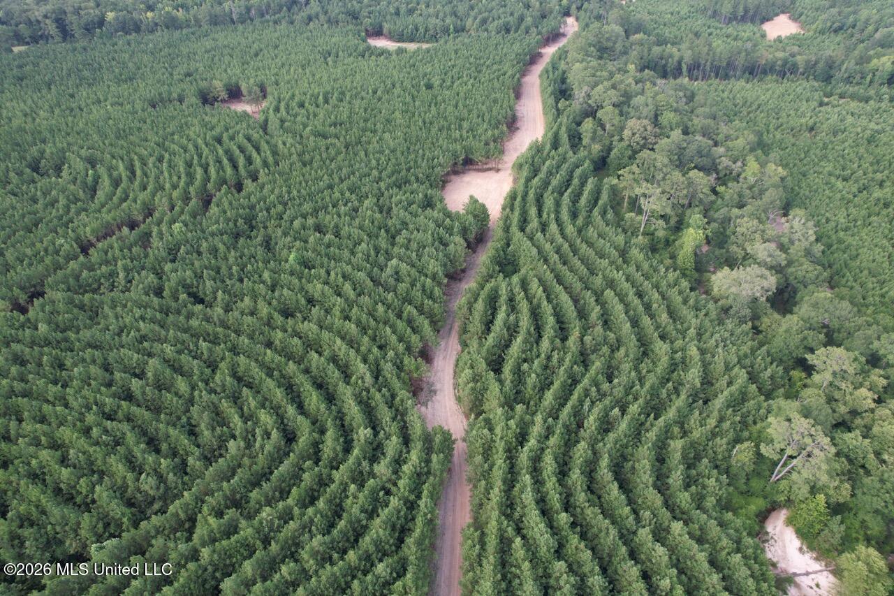 Old Oldenburg Road Meadville, MS 39653 - Photo 10 of 60 DJI_0762 Large