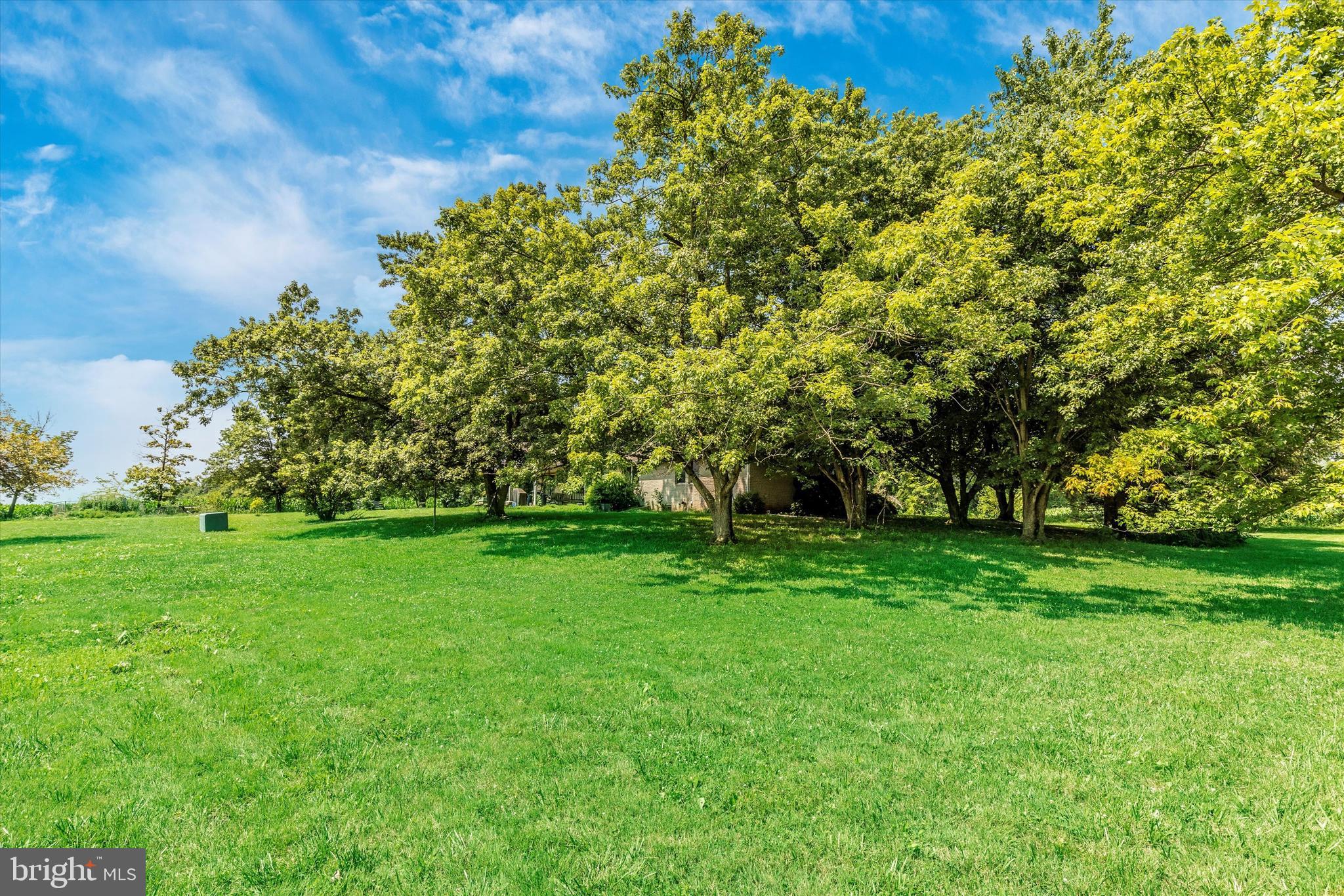 4209 North Fringer Road Taneytown, MD 21787 - Photo 22 of 65