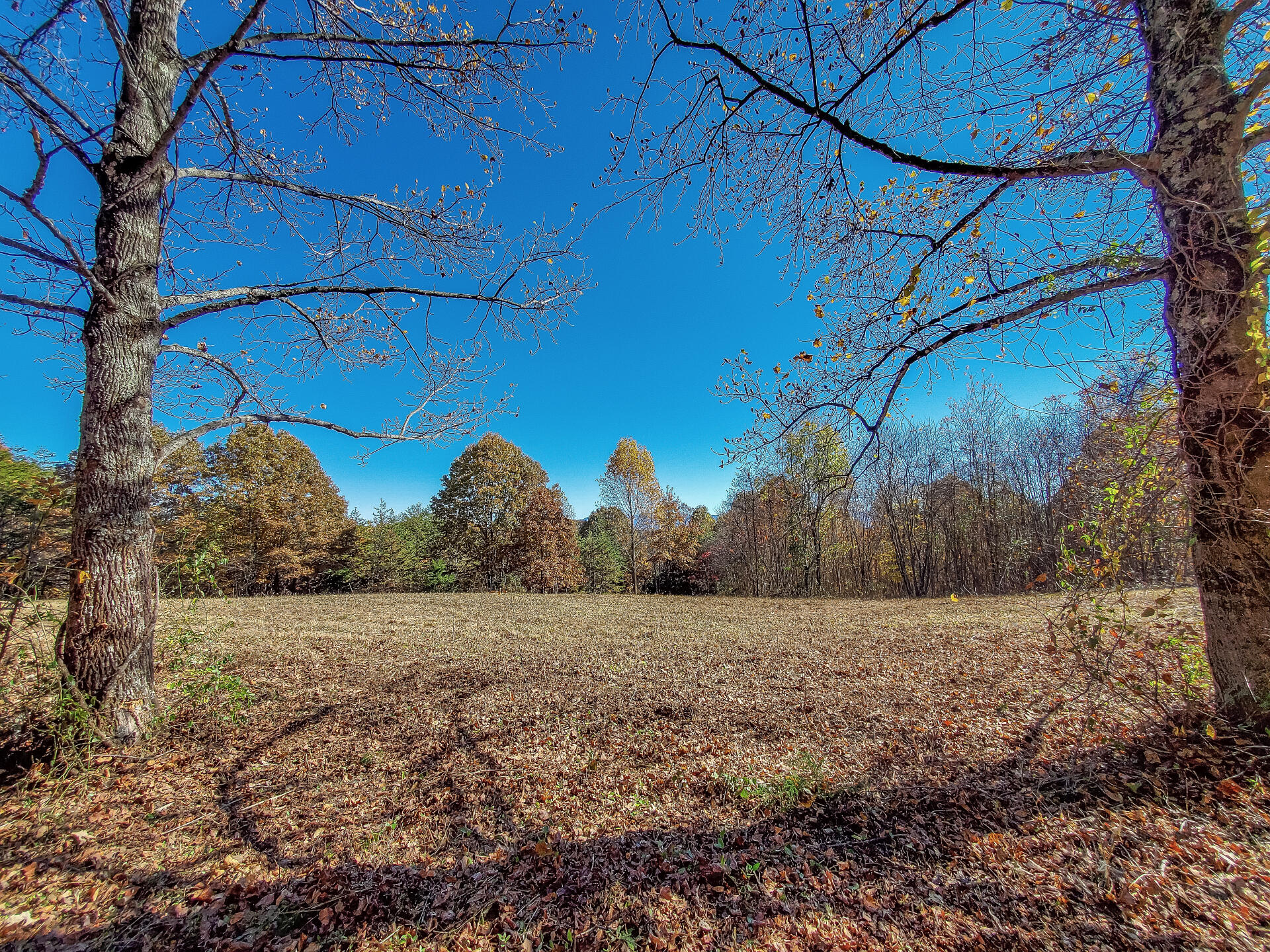 0 Harold Cemetery Road, Unit 37 Greeneville, TN 37745 - Photo 36 of 72 ClaywayG_037