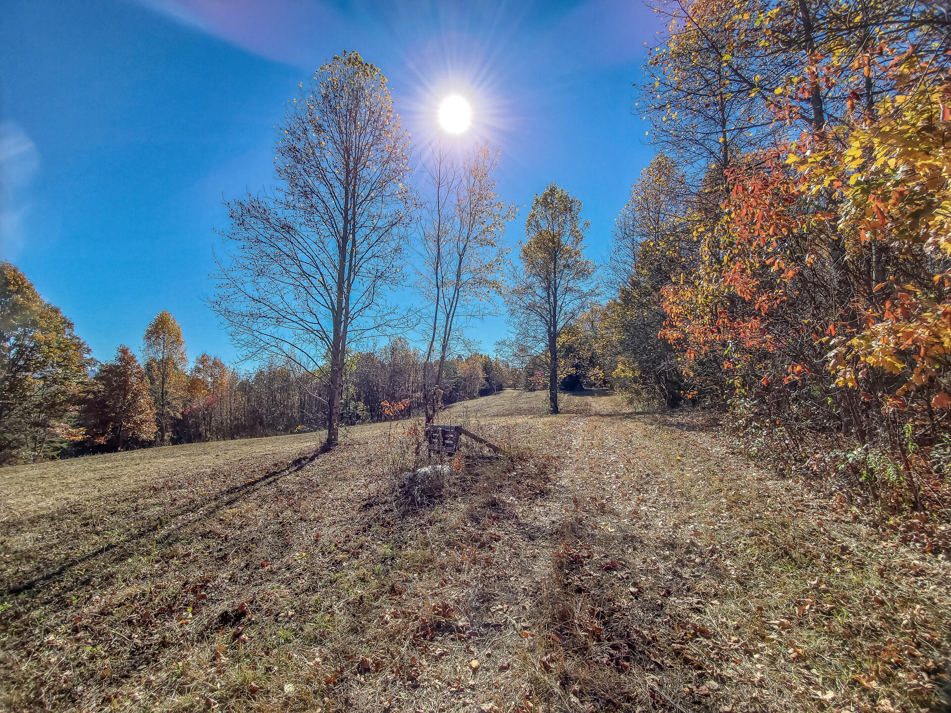 0 Harold Cemetery Road, Unit 37 Greeneville, TN 37745 - Photo 44 of 72 ClaywayG_046