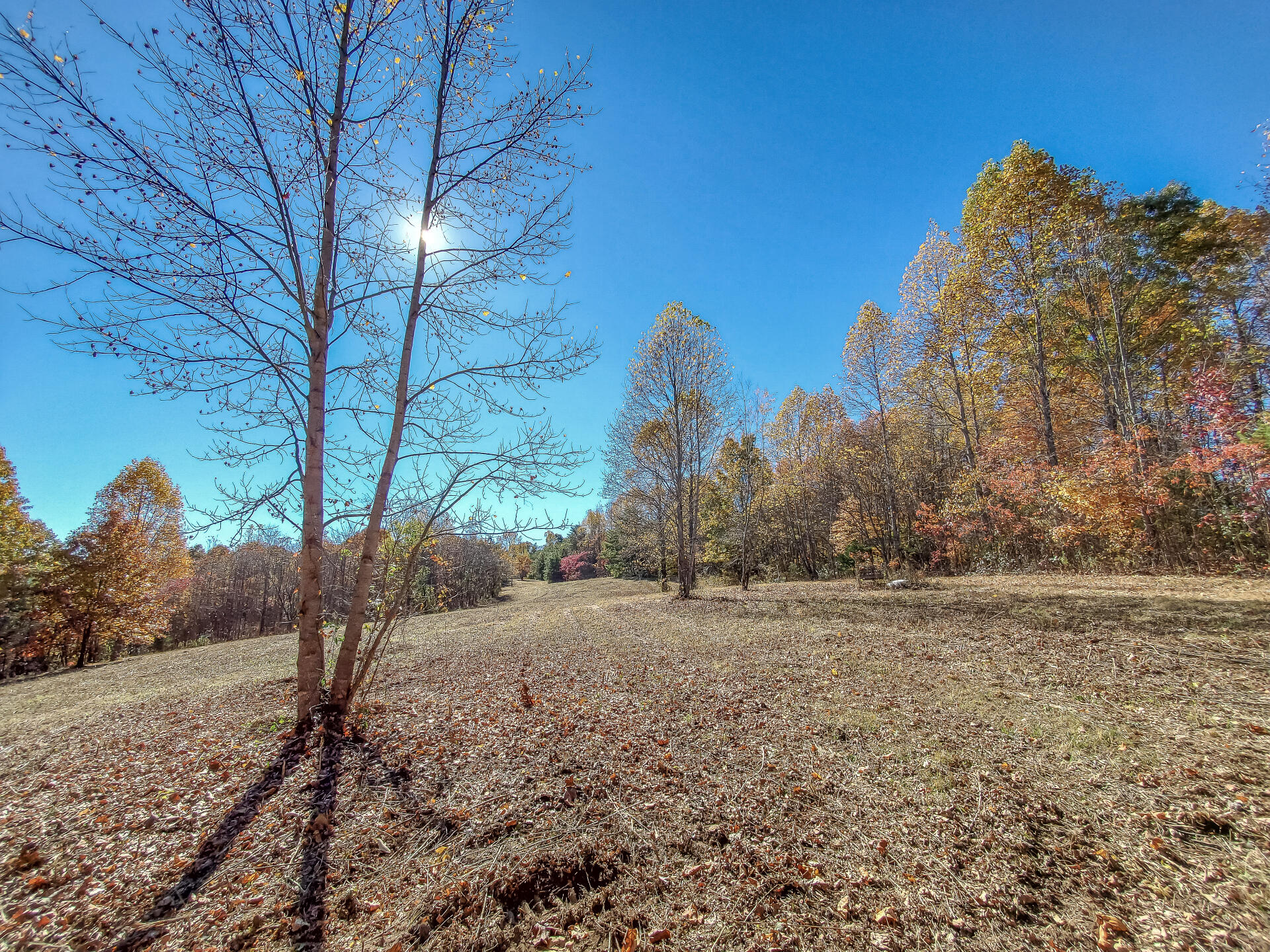 0 Harold Cemetery Road, Unit 37 Greeneville, TN 37745 - Photo 57 of 72 ClaywayG_059