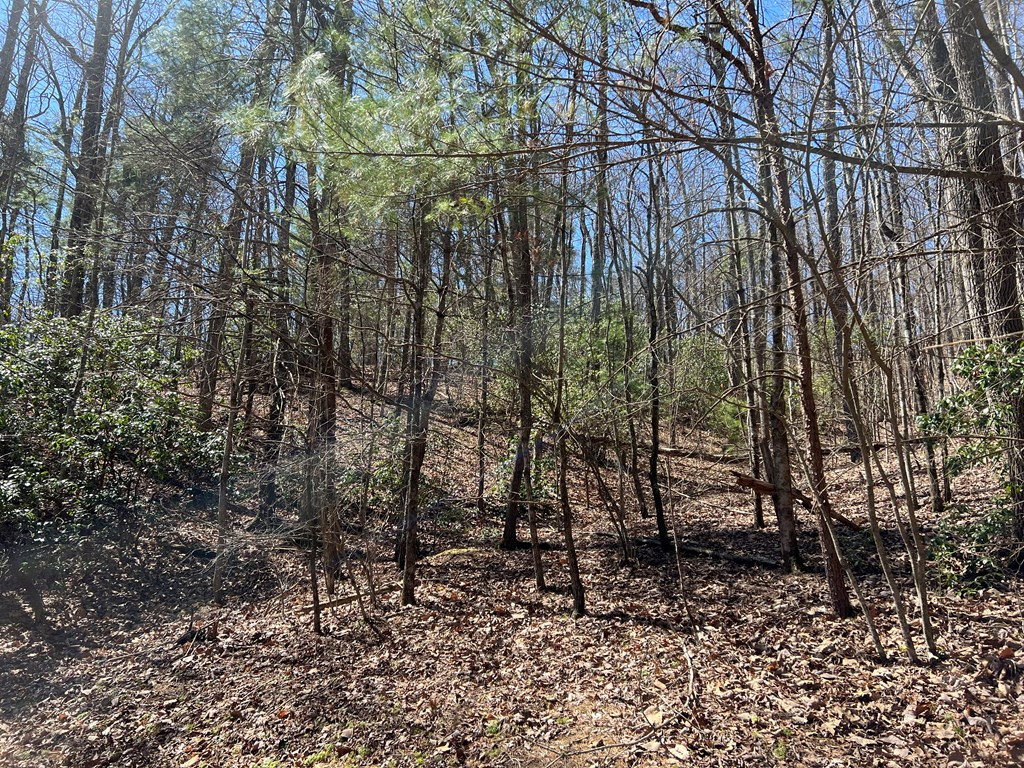 Lots Wolf Mountain Road Murphy, NC 28906 - Photo 18 of 27