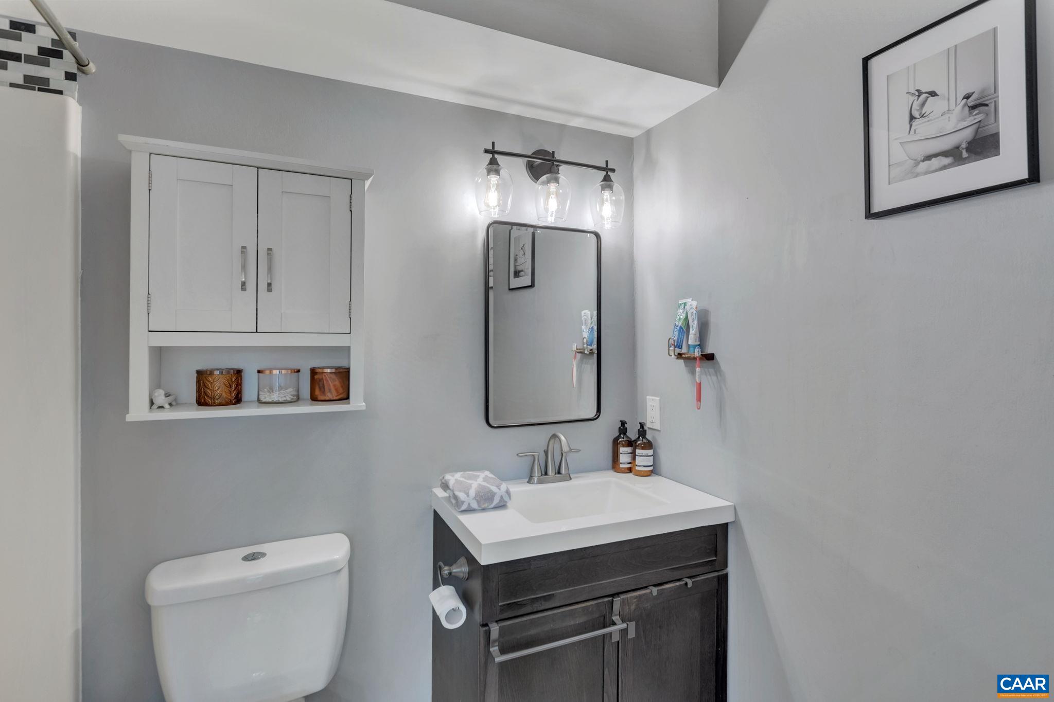 92 Riverside Drive Palmyra, VA 22963 - Photo 23 of 48 a bathroom with a toilet a sink and mirror