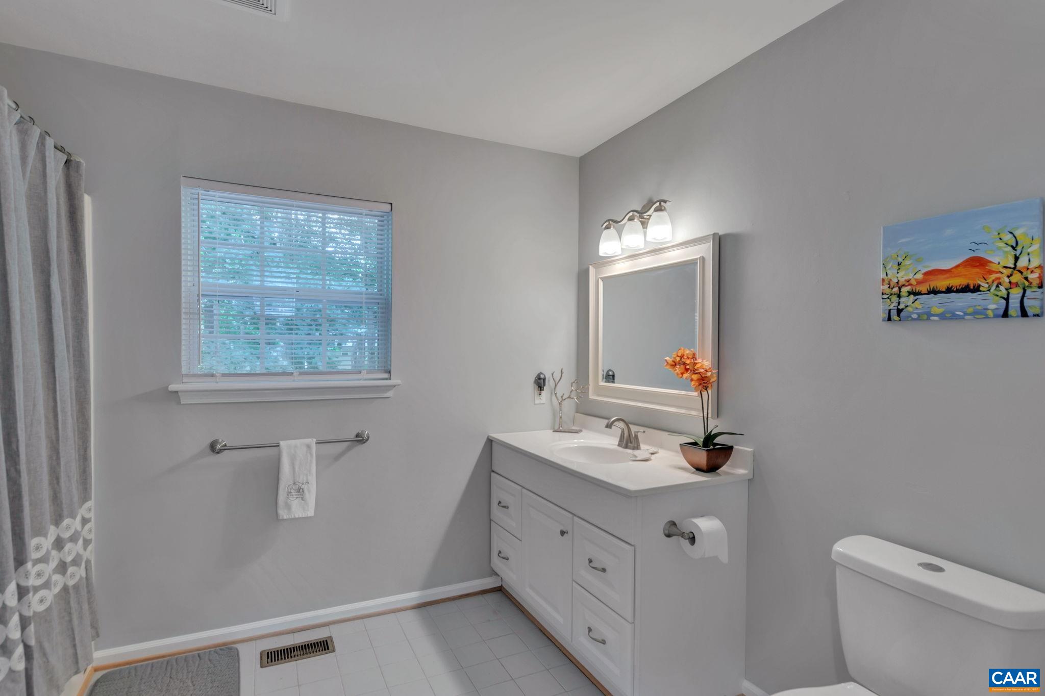 92 Riverside Drive Palmyra, VA 22963 - Photo 34 of 48 a bathroom with a double vanity sink toilet and a mirror