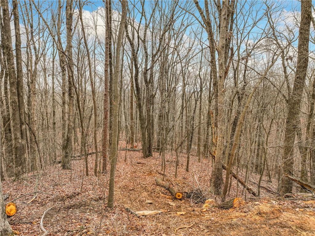 Lot 5 Mount Mincie Road Murrayville, GA 30564 - Photo 7 of 17 Gallery Image 7