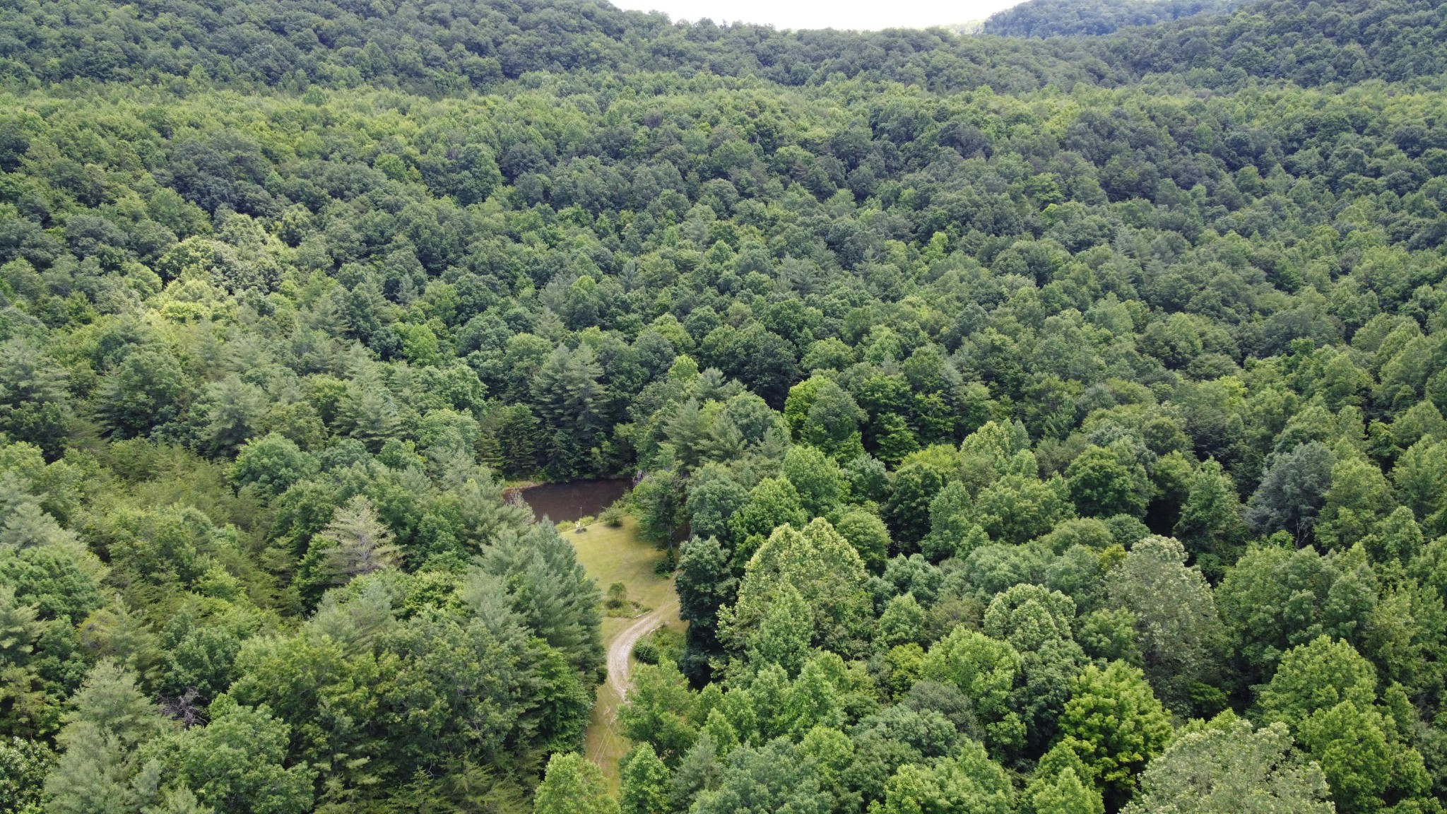449 Thompson Trail Winfield, TN 37892 - Photo 17 of 20 an aerial view of a forest with houses
