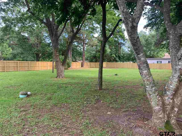 a view of a yard with a tree