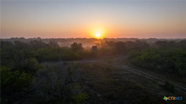 a view of a yard with a mountain