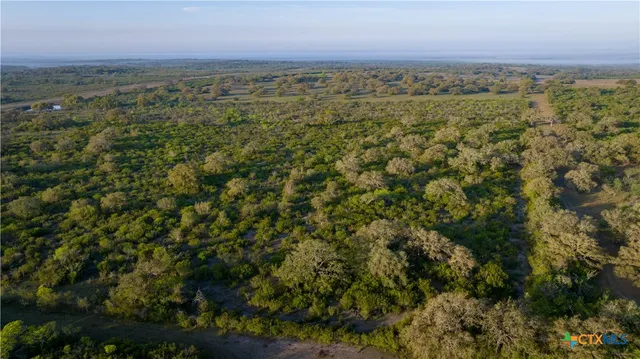 a view of a lake with a mountain in the background