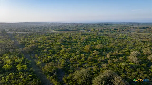 a view of a lake in middle of a forest