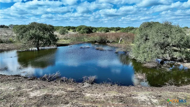 a view of a lake from a yard