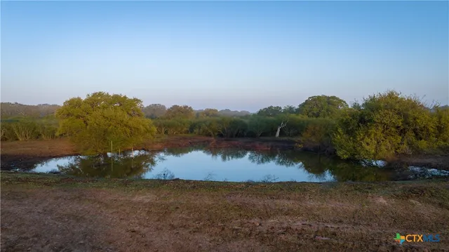 a view of a lake in middle of forest