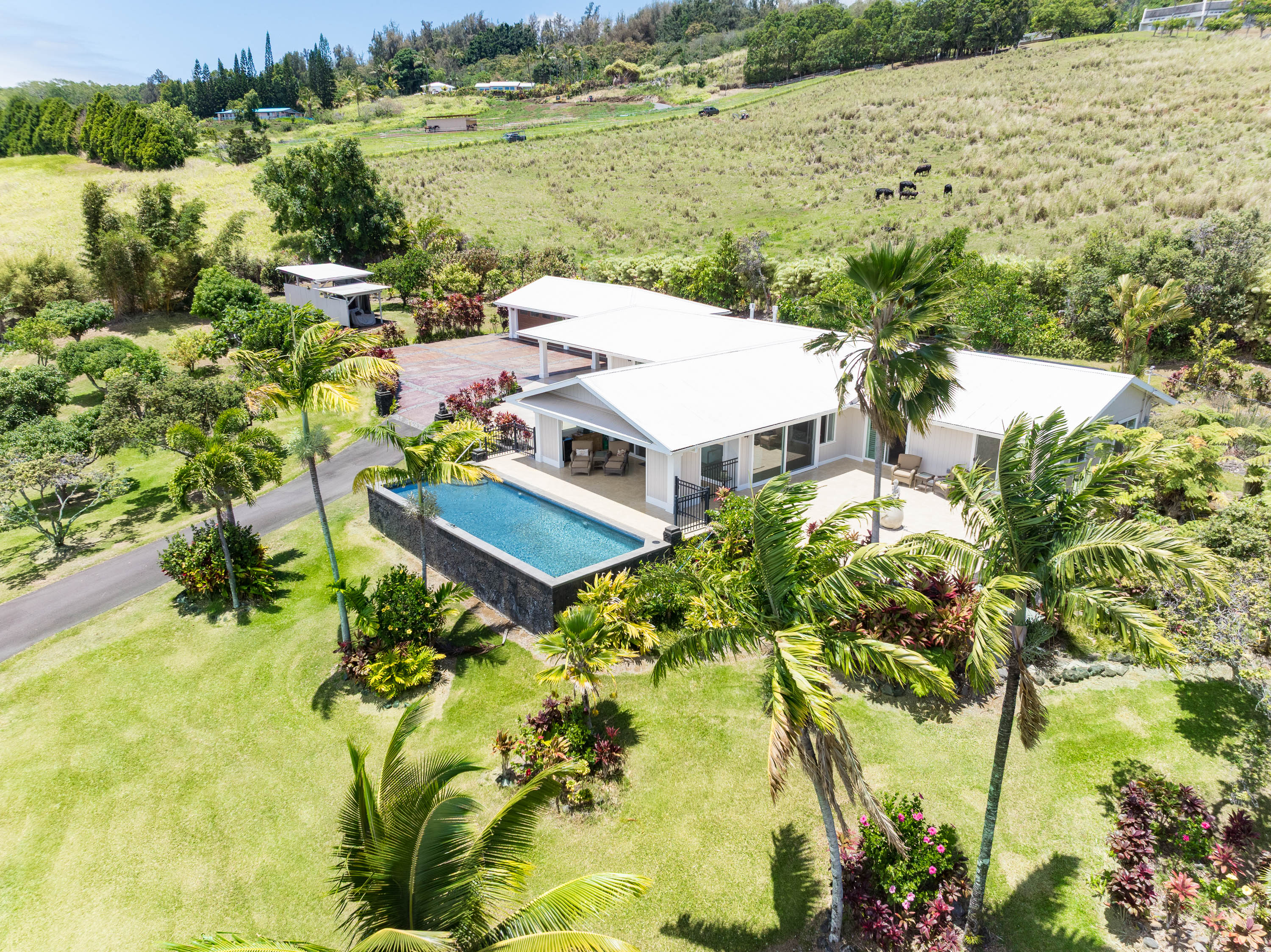 36-1037 Stevens Road Laupahoehoe, HI 96764 - Photo 4 of 27