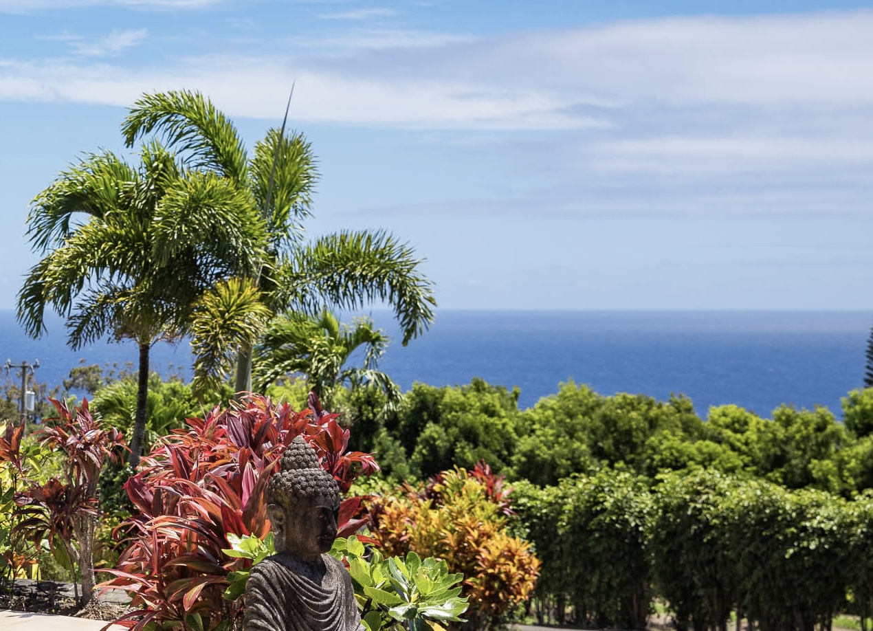 36-1037 Stevens Road Laupahoehoe, HI 96764 - Photo 5 of 27