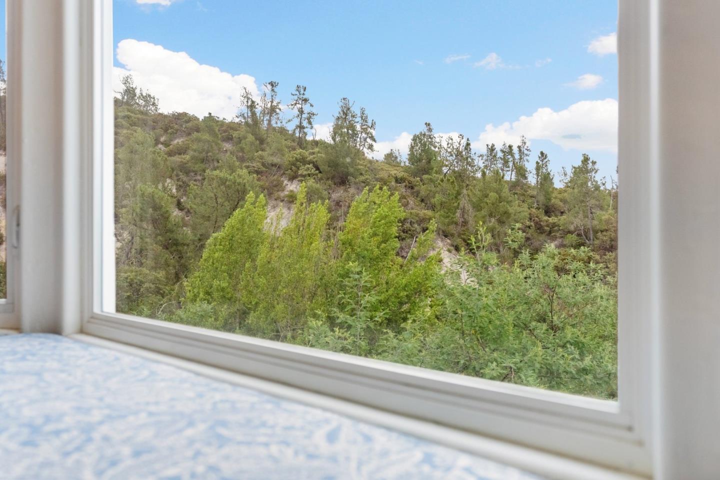 270 Estates Drive Ben Lomond, CA 95005 - Photo 40 of 61 a view of a forest from a window
