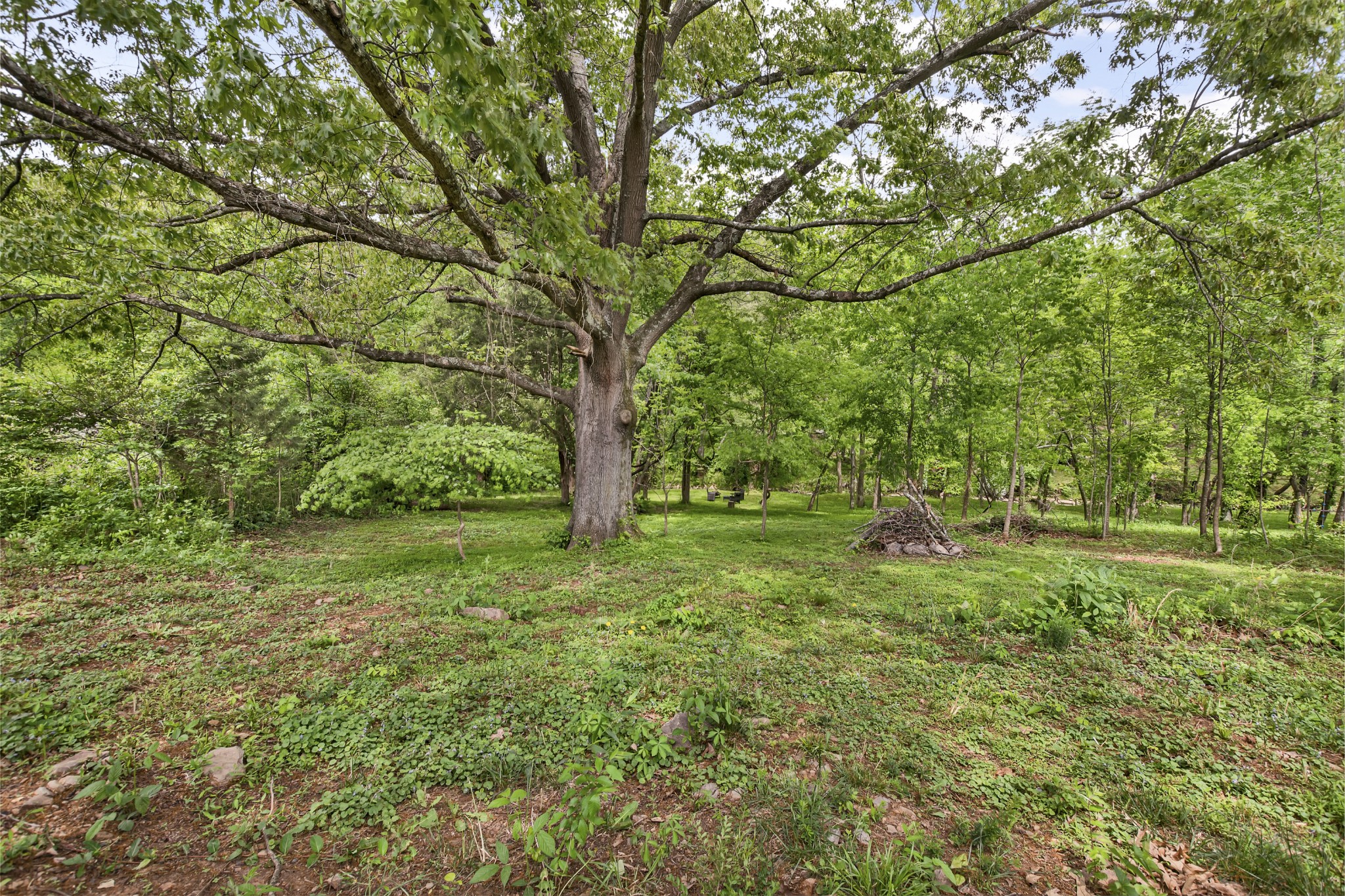 1669 Rains Road Clarksville, TN 37042 - Photo 34 of 39 Gallery Image 34