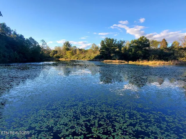 $249,000 | 2036 Helenwood Detour Road, Helenwood, TN 37755