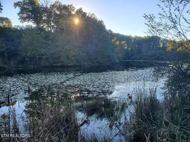 $249,000 | 2036 Helenwood Detour Road, Helenwood, TN 37755