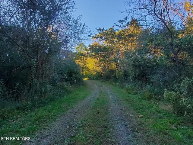 $249,000 | 2036 Helenwood Detour Road, Helenwood, TN 37755