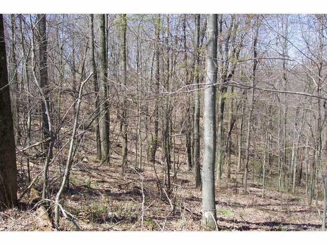 0 Southeast Barneby Road, Unit LOT10 Lancaster, OH 43130 - Photo 3 of 6
