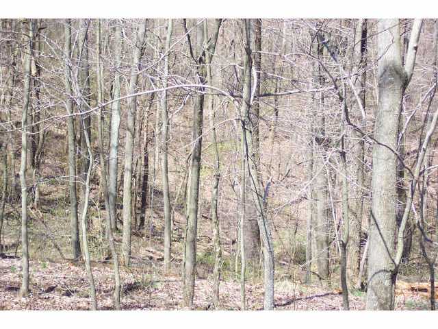 0 Southeast Barneby Road, Unit LOT10 Lancaster, OH 43130 - Photo 4 of 6