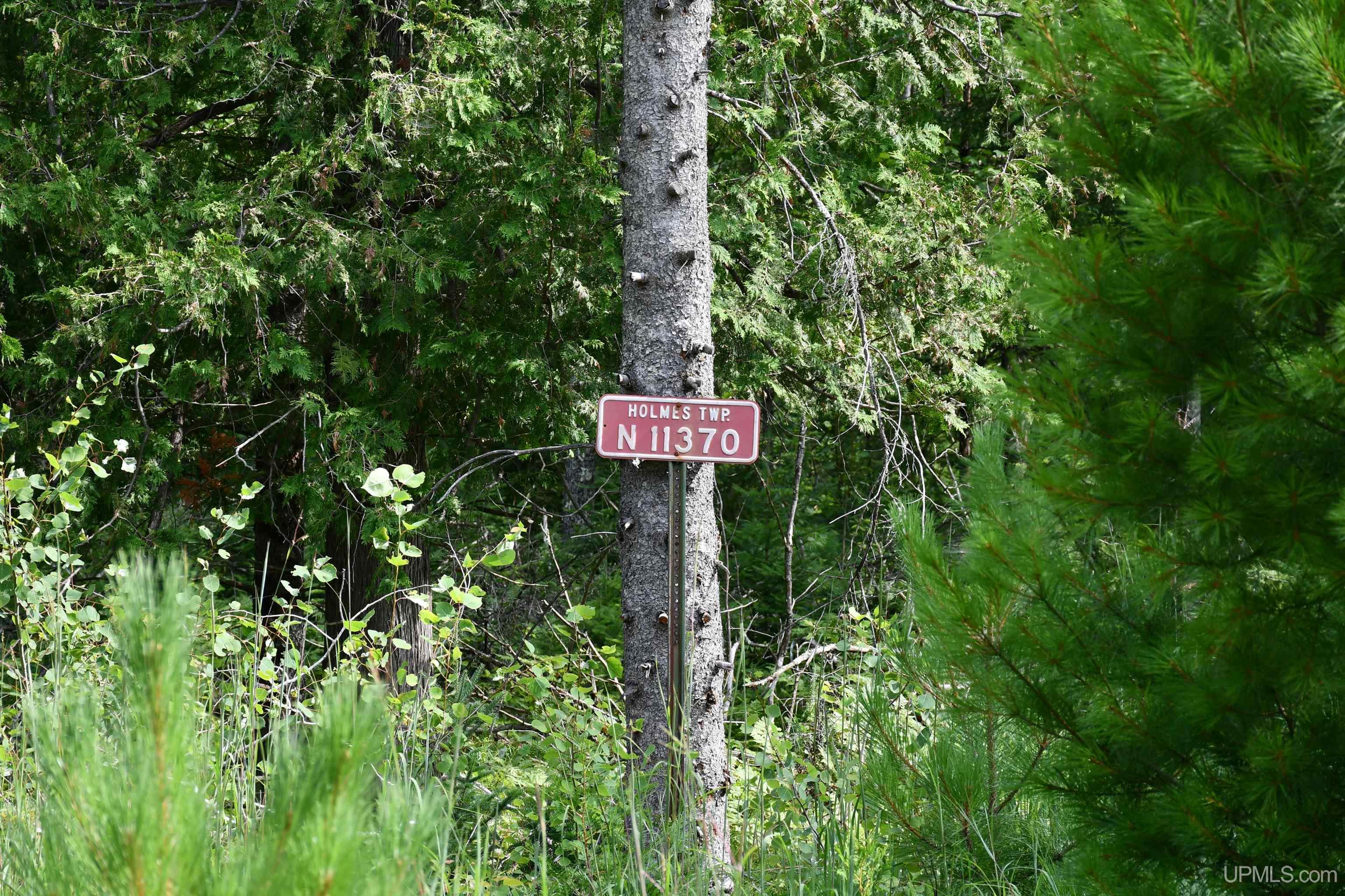 N11370 Cr 577 Road Daggett, MI 49821 - Photo 21 of 38