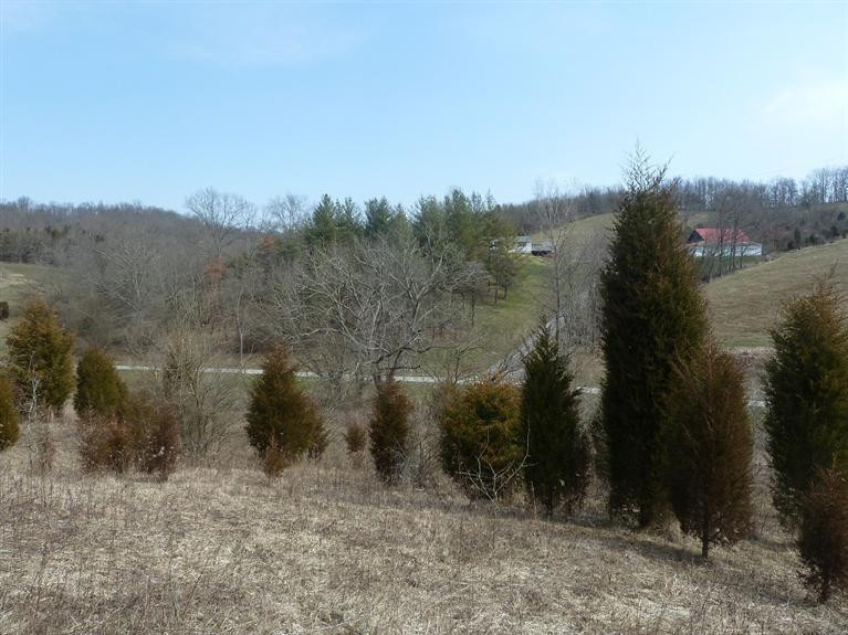 0 Branch Lick Road California, KY 41001 - Photo 1 of 7