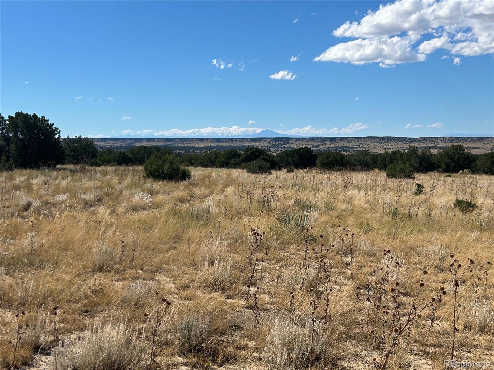 0 Las Animas Ranch Model, CO 81059 - Photo 11 of 23