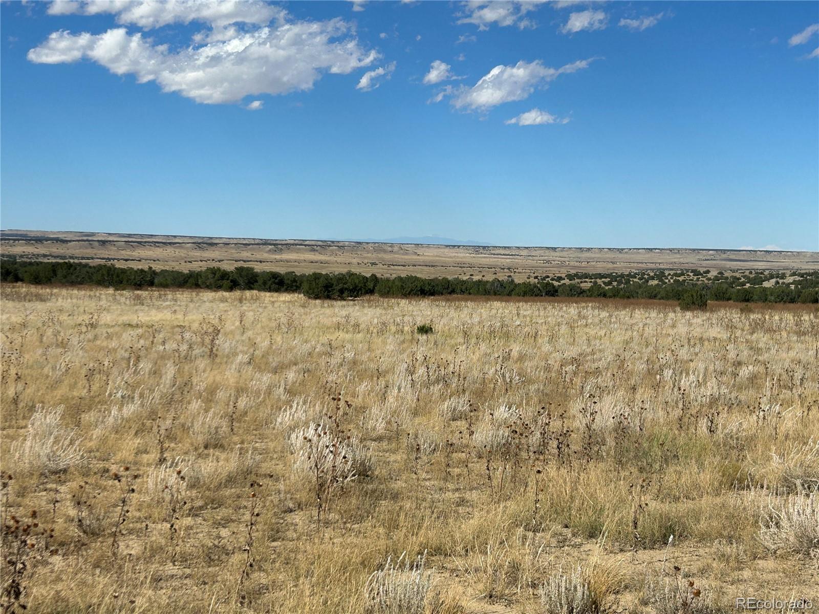 0 Las Animas Ranch Model, CO 81059 - Photo 12 of 23
