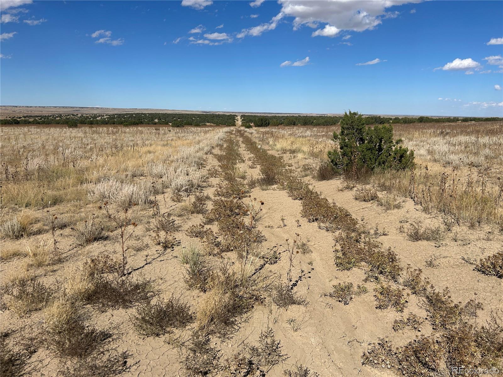 0 Las Animas Ranch Model, CO 81059 - Photo 15 of 23