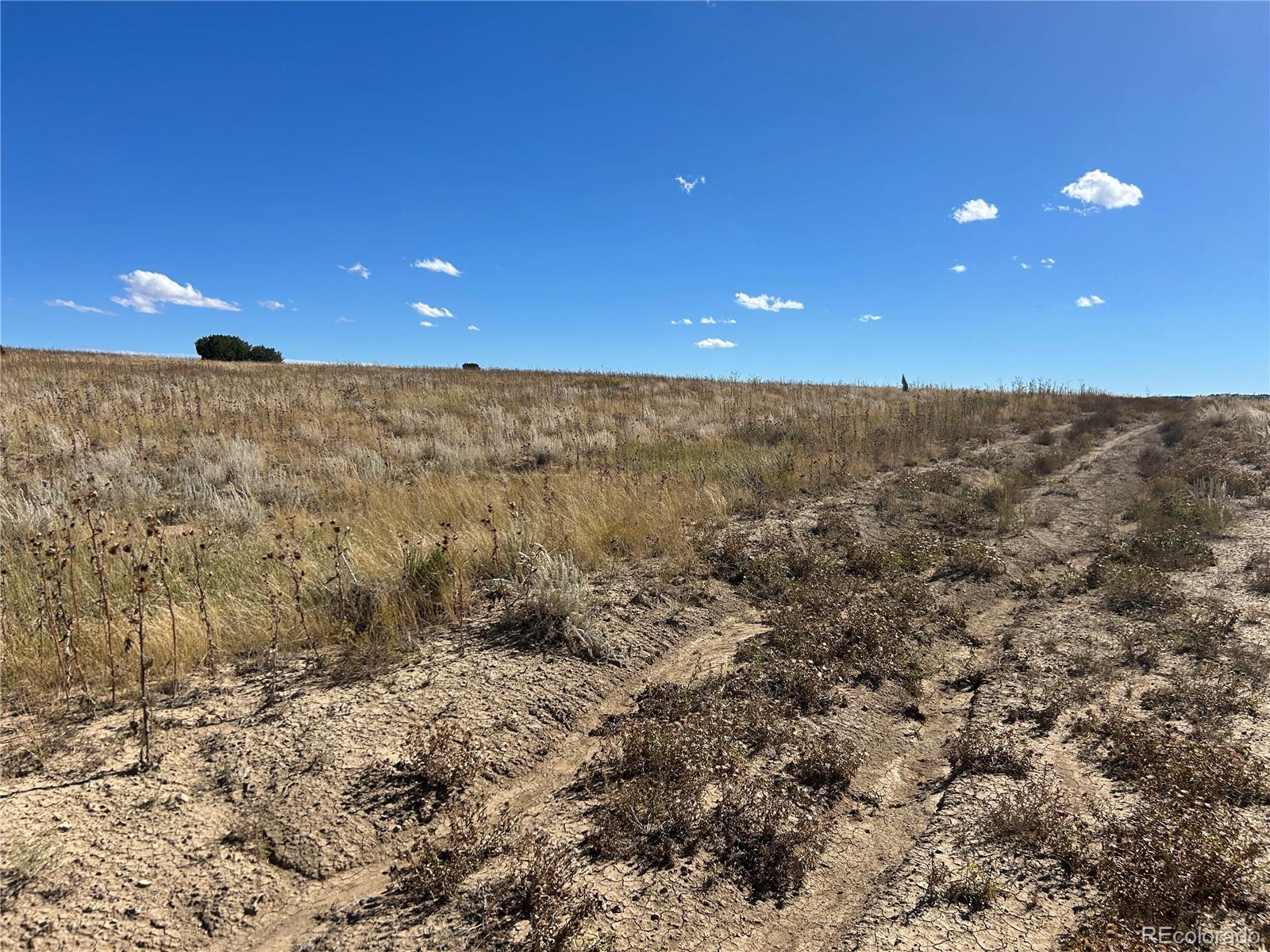 0 Las Animas Ranch Model, CO 81059 - Photo 16 of 23