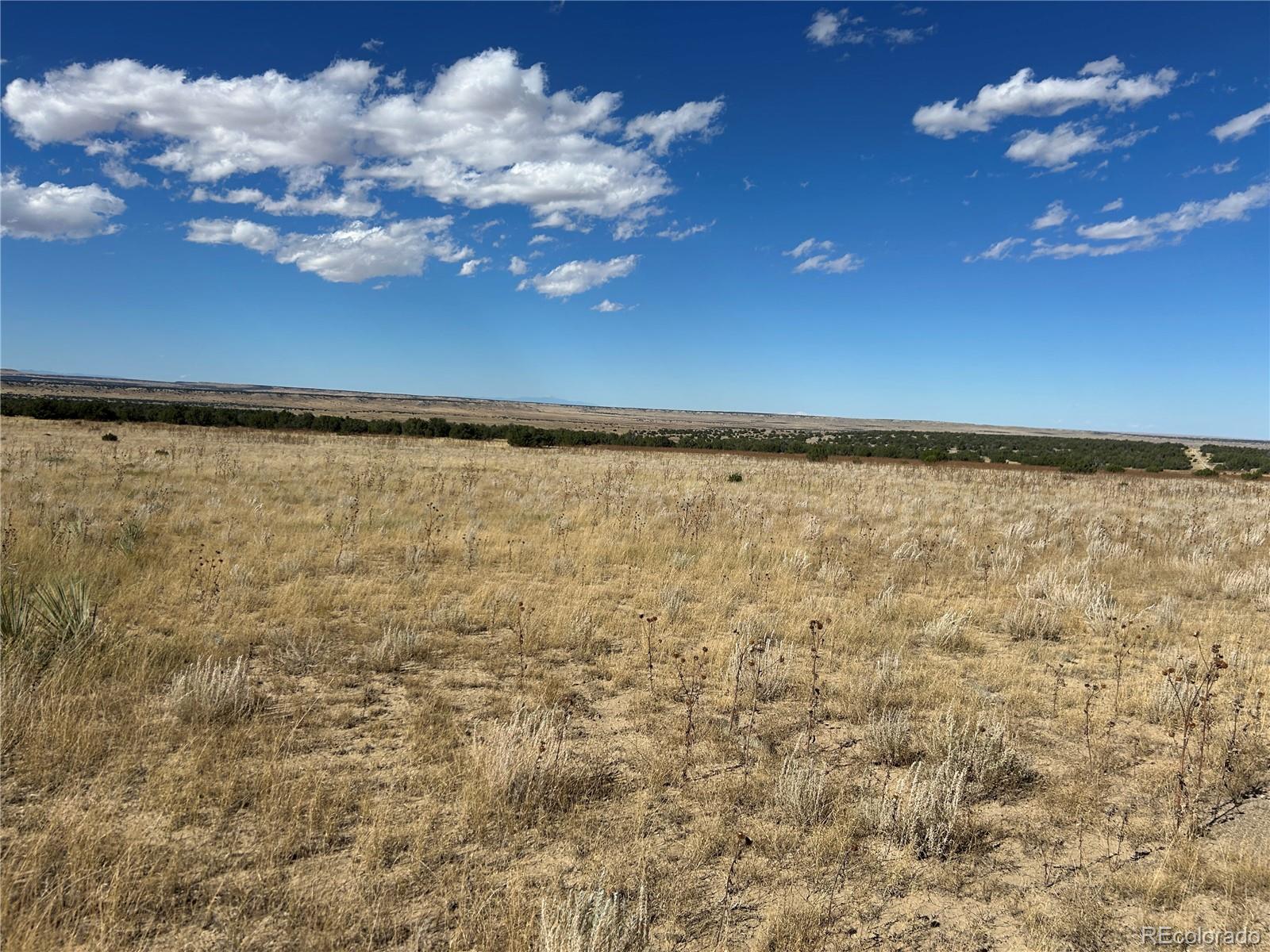0 Las Animas Ranch Model, CO 81059 - Photo 18 of 23