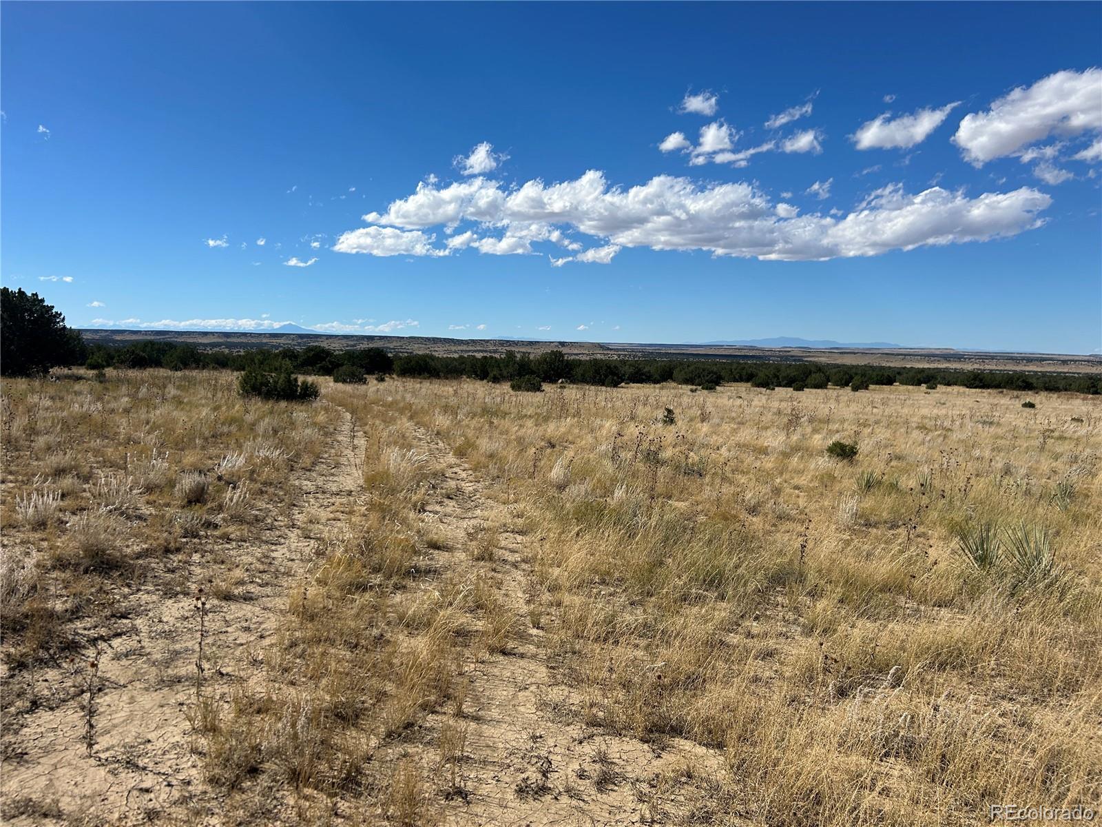 0 Las Animas Ranch Model, CO 81059 - Photo 19 of 23