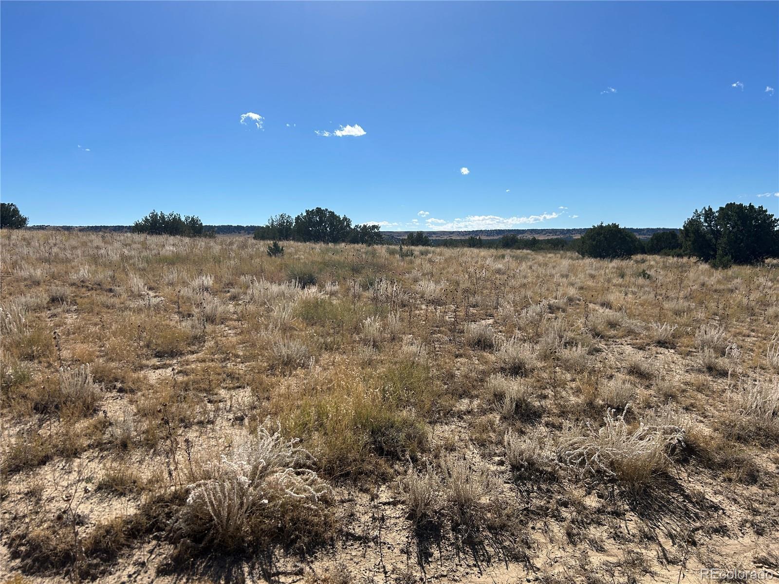 0 Las Animas Ranch Model, CO 81059 - Photo 20 of 23