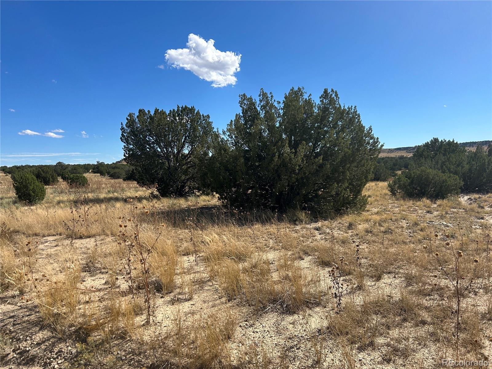 0 Las Animas Ranch Model, CO 81059 - Photo 4 of 23