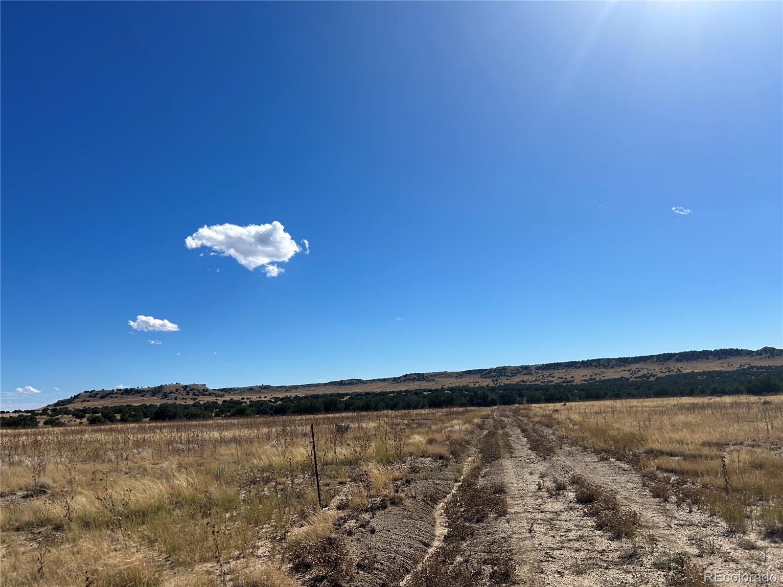 0 Las Animas Ranch Model, CO 81059 - Photo 6 of 23