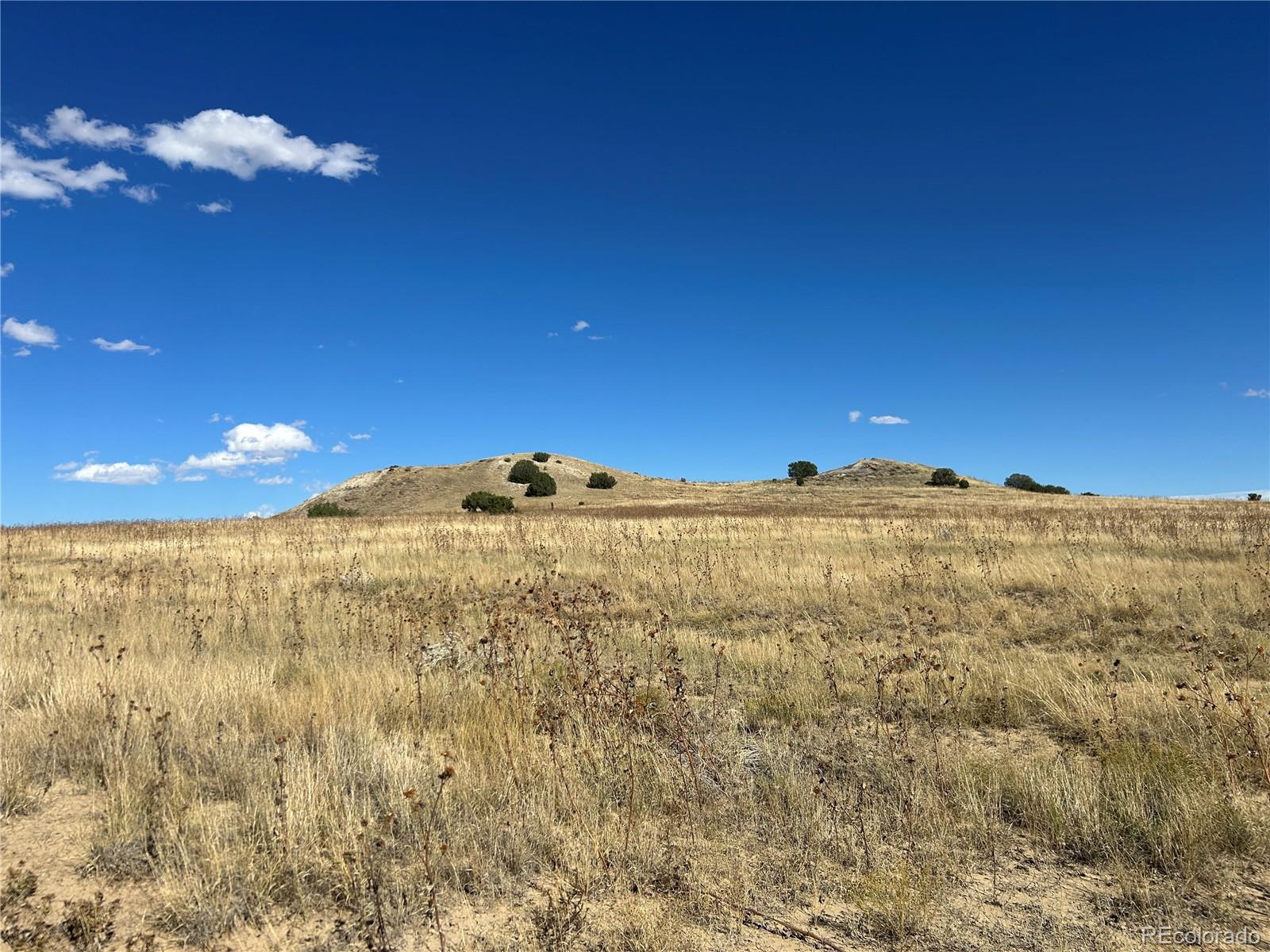 0 Las Animas Ranch Model, CO 81059 - Photo 7 of 23