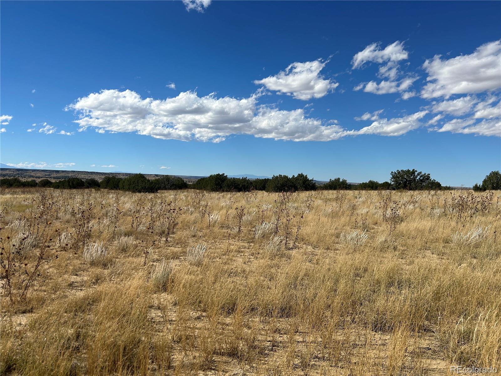 0 Las Animas Ranch Model, CO 81059 - Photo 9 of 23