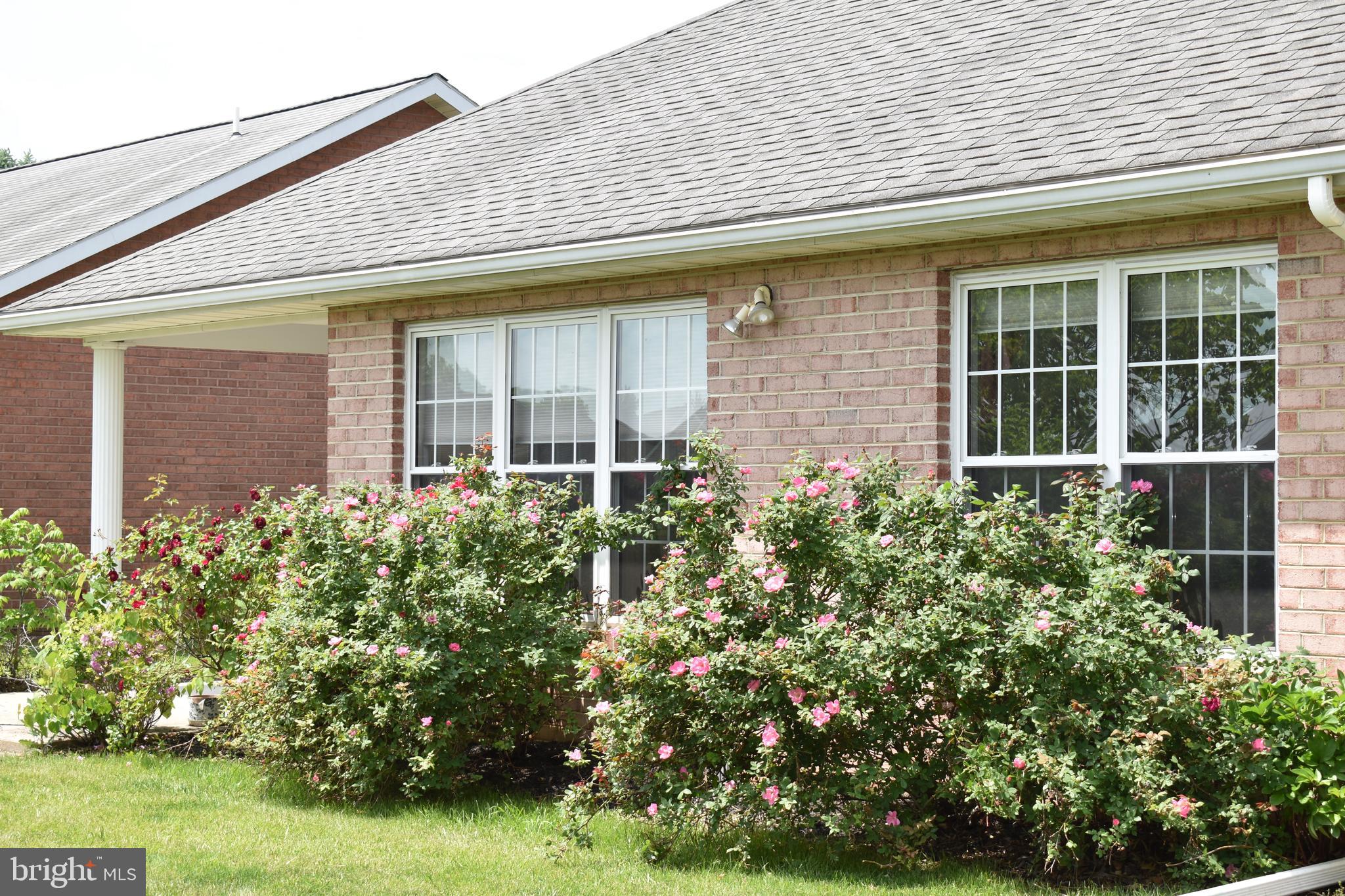 1206 Rabbit Court Hagerstown, MD 21740 - Photo 30 of 35 Gorgeous roses