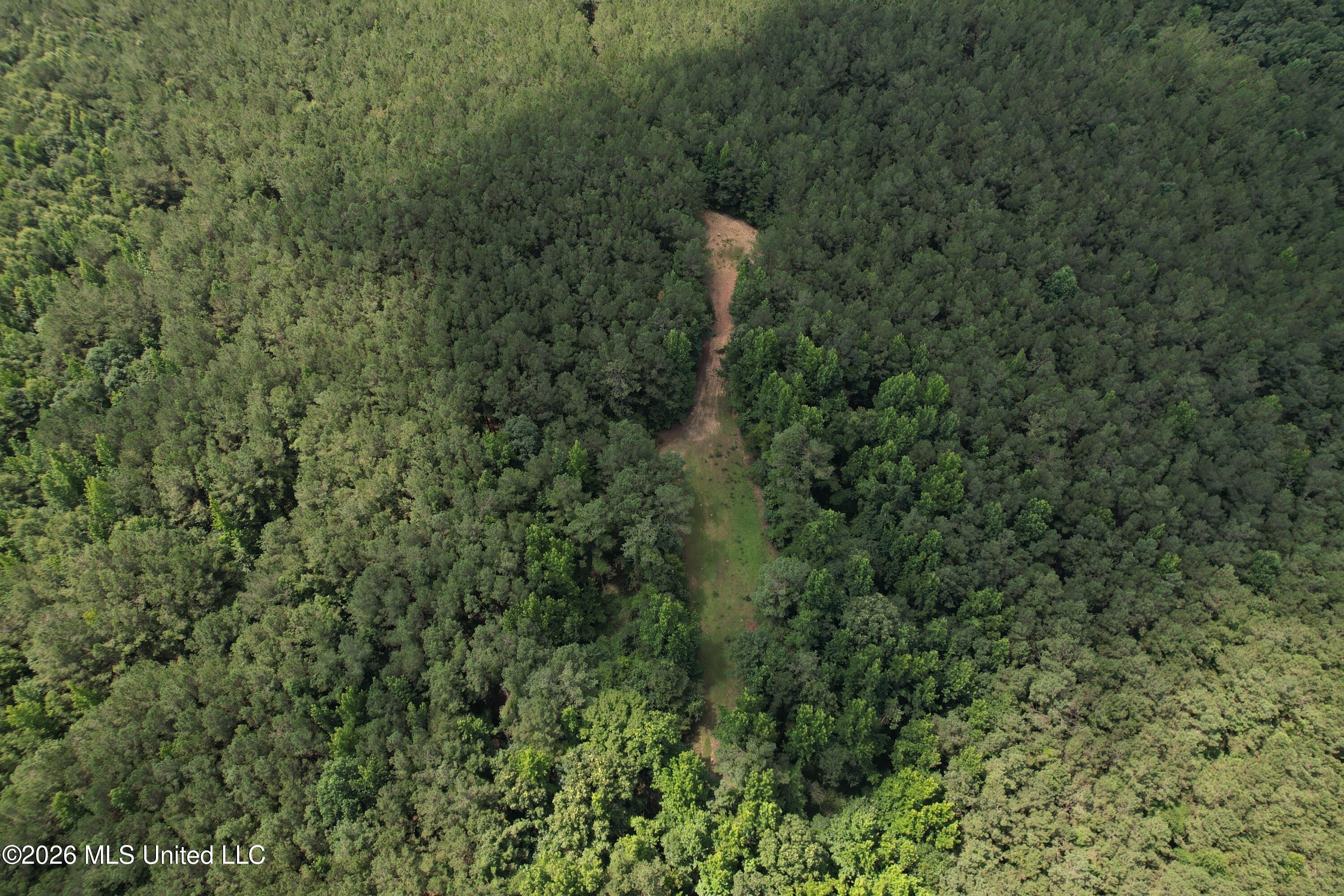 407 Highway Kilmichael Ms 39747 French Camp, MS 39745 - Photo 19 of 26 dji_fly_20260630_112402_164_178303787357