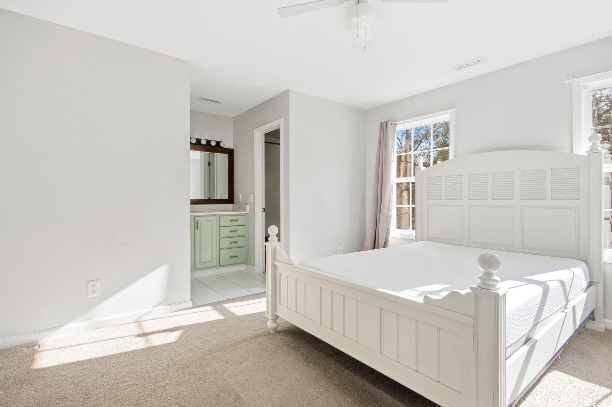 1735 Rice Street Georgetown, SC 29440 - Photo 16 of 34 Bedroom with light colored carpet, connected bathroom, and ceiling fan