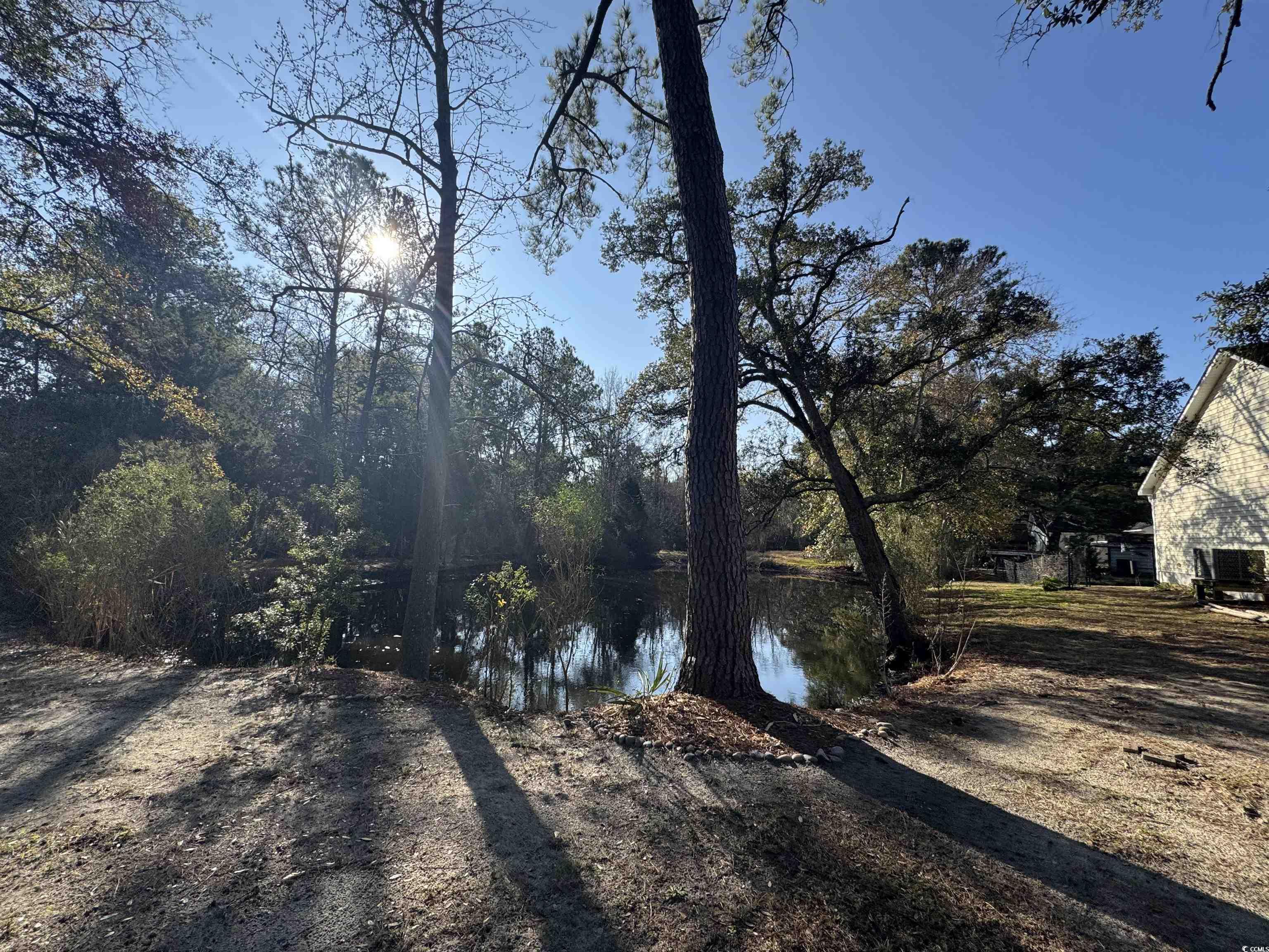 1735 Rice Street Georgetown, SC 29440 - Photo 32 of 34